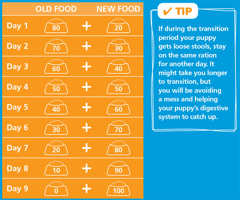 puppy food transition chart