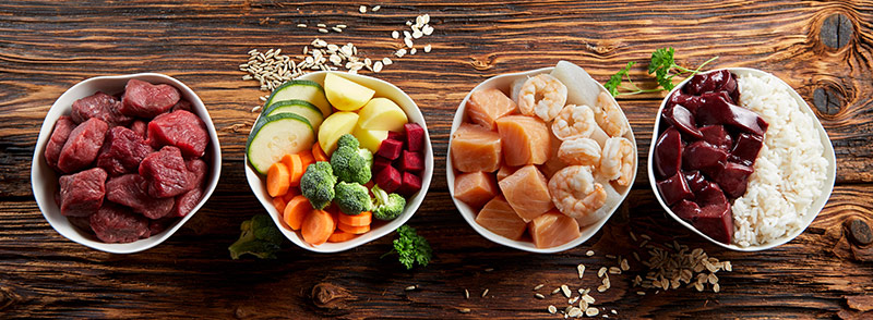 Panorama banner with healthy pet food ingredients with chopped raw beef liver chicken vegetables rice and grains in individual bowls on rustic wood viewed from above