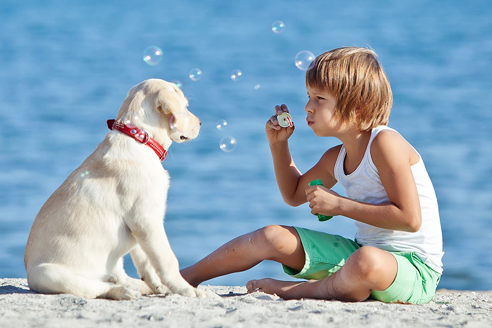 little boy with his labrador puppy on the beach blowing bubbles for his dog