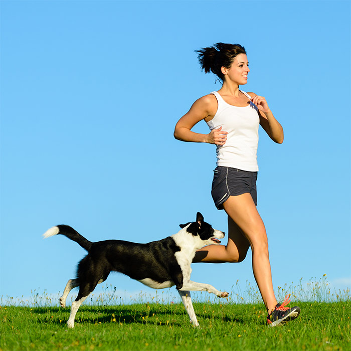 Woman and dog running and exercising outdoor at grass field on summer or spring. Happy female athlete training with her border collie dog