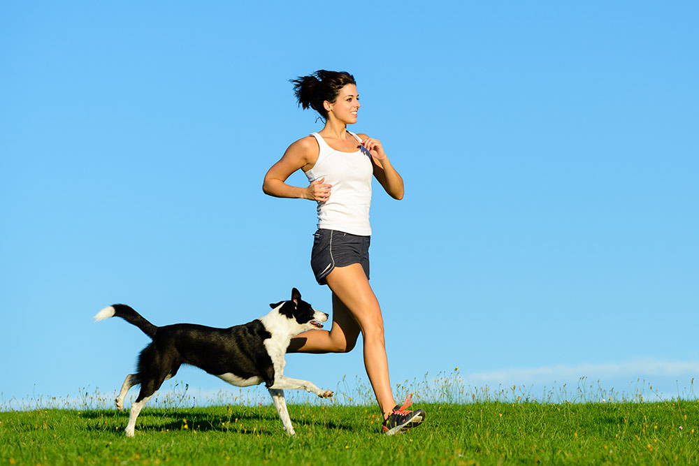 Woman and dog running and exercising outdoor at grass field on summer or spring. Happy female athlete training with her border collie dog