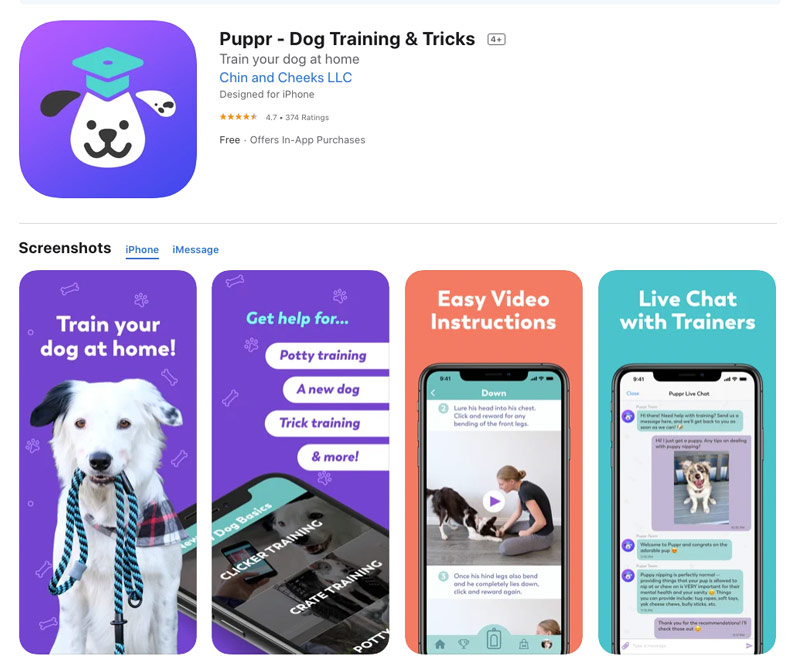 Best apps for pets & pet lovers | Bow Wow Meow Best apps for pets & pet lovers | Bow Wow Meow