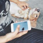 The Best Apps for Pets in 2021