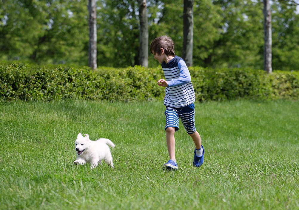 Kids running and playing with puppy dog outside_