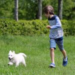 How much exercise does my puppy need?