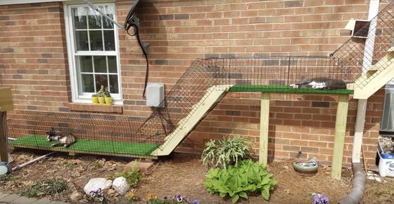 DIY Cat tunnel connecting to outdoor cat enclosure