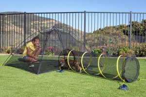 Best outdoor runs and enclosures for cats | Keeping Cats Happy & Safe