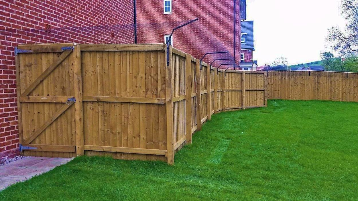 Secure Your Garden With Cat Proof Fencing In Cape Town - Catmags.com