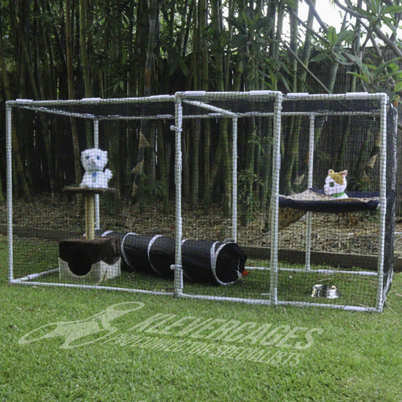 Outdoor cat cheap enclosure bunnings