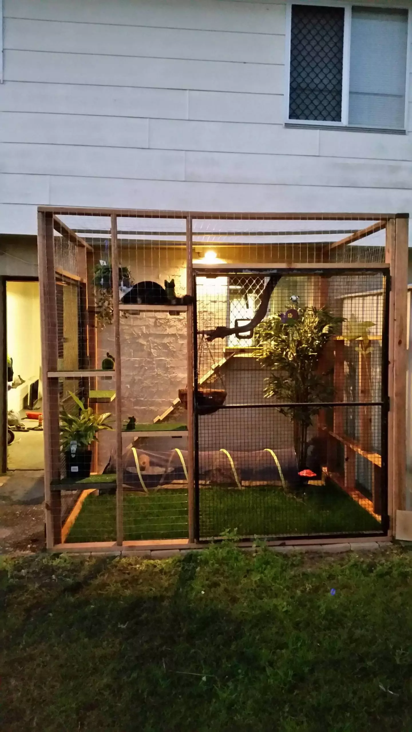 Diy outdoor cat enclosure attached to house hotsell