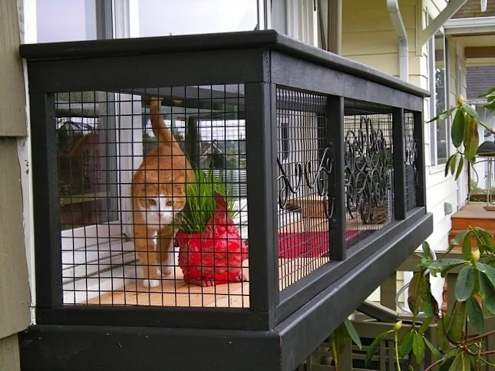 Window box cat veranda