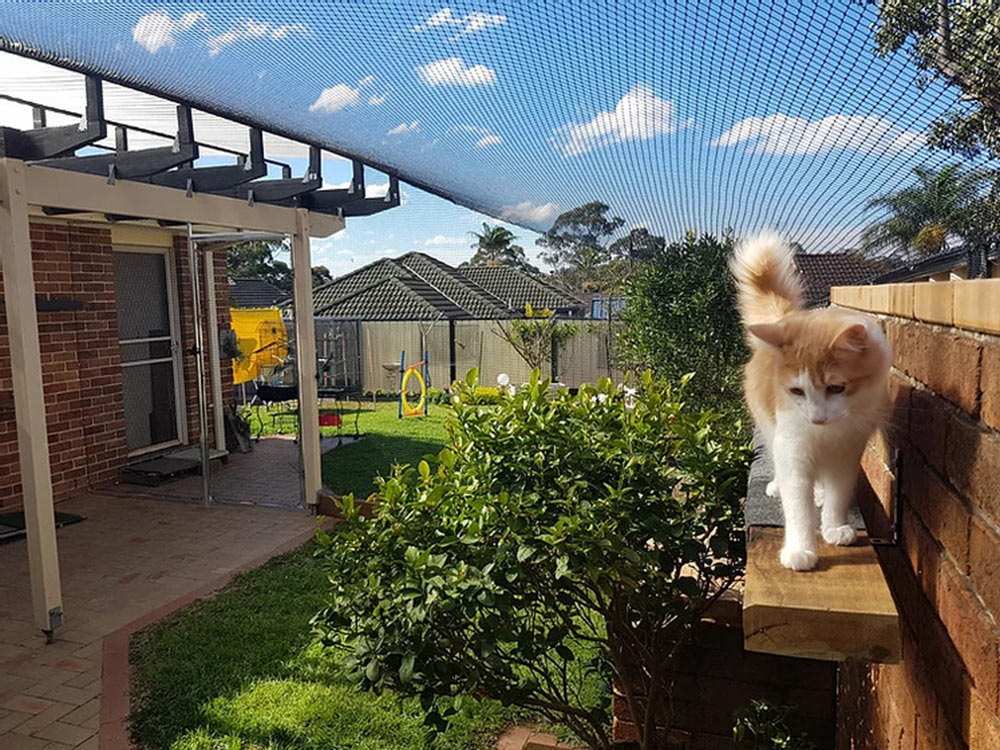 Outdoor cat clearance netting