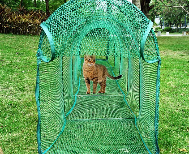 Collapsible store cat enclosure