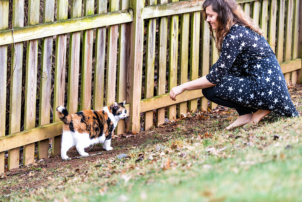 Calico cat walking with woman