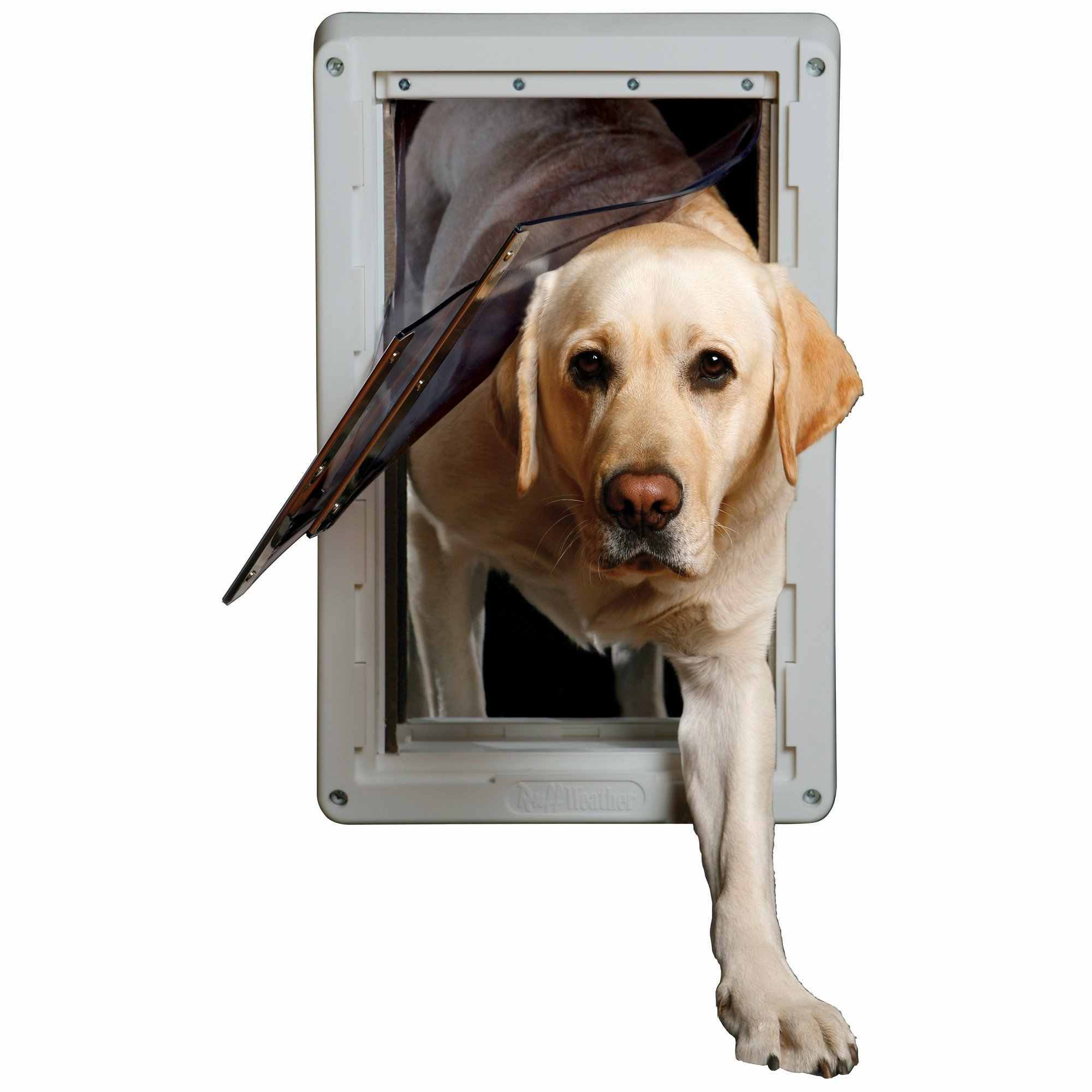 Dog doors product guide the best pet doors for your dog or cat