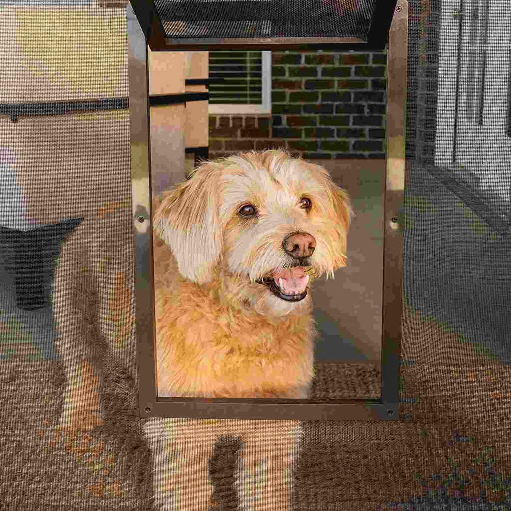 Dog doors product guide the best pet doors for your dog or cat