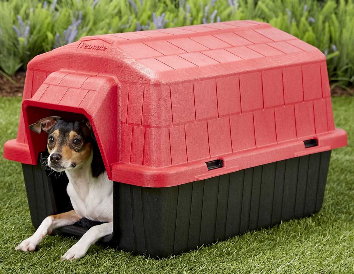 Dog Kennels Product Guide Bow Wow Meow Pet Insurance