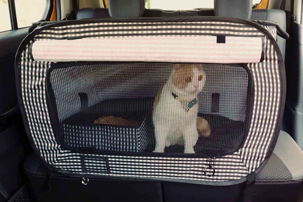 Mr. Pen- Pet Carrier, Cat Carrier, Dog Carrier, Cat Bag Carrier, Cat Travel  Carrier, Soft Cat Carrier, Dog Travel Carrier, Pet Travel Carrier, Dog Soft-Sided  Carriers, Cat Carrier Bag