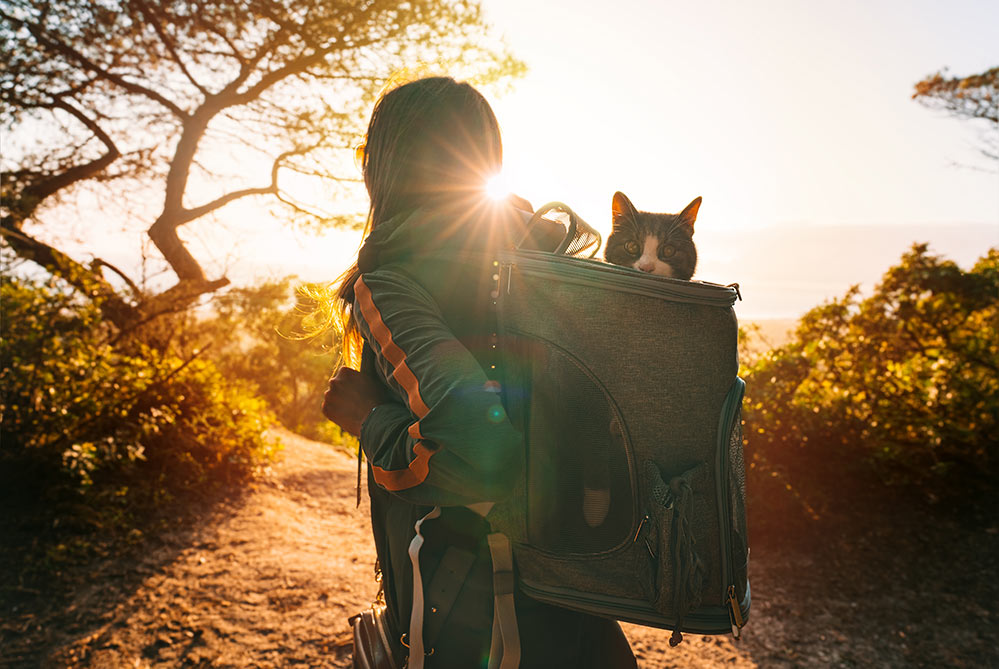 Woman walking with cat in backpack cat looks out of portable carrier bag Travel with pets