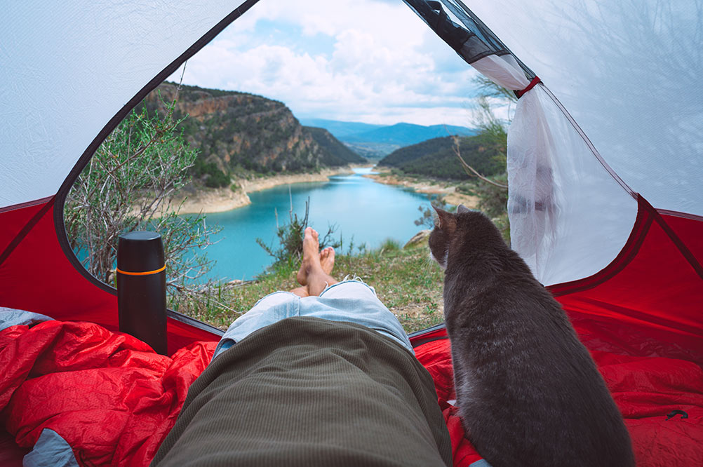 Man with his lovely cat lying and relaxing in tent in nature Hiking with cat