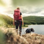Best dog breeds for hiking and outdoors