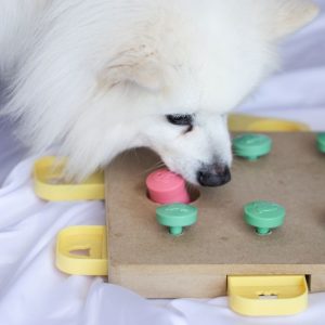 Home-alone boredom busters for dogs: safe ways to keep them busy Dog happily engaging with a food puzzle or enrichment toy at home