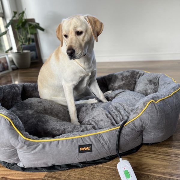 Pawz Electric heated dog bed