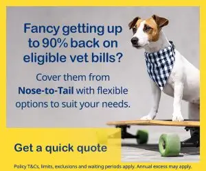 Bow Wow Meow Pet Insurance 2 months free Get a quick quote