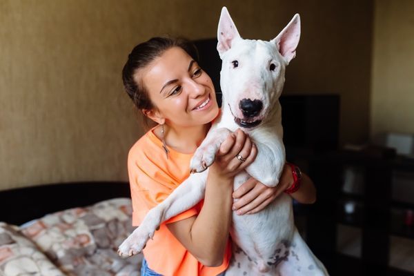 Teenage girl petting her white bull terrier