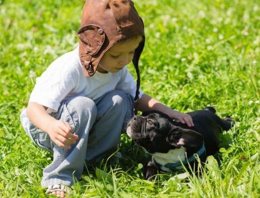 Little boy playing with the dog French Bulldog outdoors