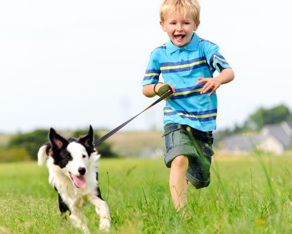 Young boy runs in a green field with his pet border collie on the lead