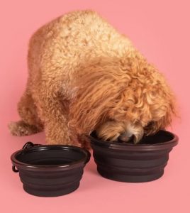 Stainless Steel Slow Feed Dog Bowl - 4 Cup Extra Large Pet Slow Feeder, 2  Standard Metal Bowls Fit Elevated Feeders, Eating Bowl, Stops Dog Food  Gulping, Dog Food and Water Bowl