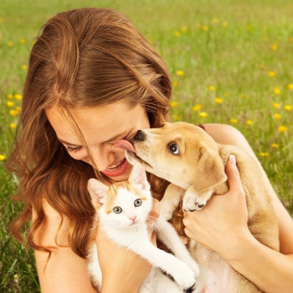 A cute young puppy licking the face of a pretty young girl as she is laughing