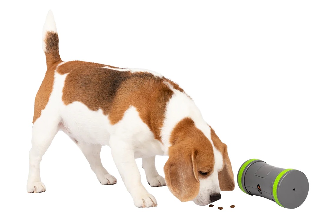 https://bowwowinsurance.com.au/wp-content/uploads/2022/10/Kibble-Chase%E2%84%A2-Roaming-Treat-Dispenser.jpg