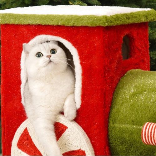 ZeZe Christmas Train Cat Climbing Frame 3 thumb