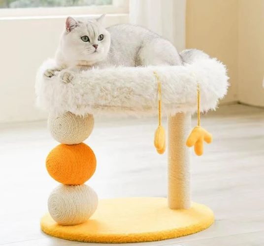 PawPawUp ZeZe Cluck Cat Scratching Post and Cat Bed
