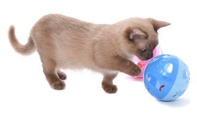 Pet Obsessed Large ‘Jingle Ball’ Cat Toy