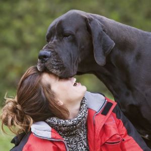 girl laughing while her dog kisses. tender moment