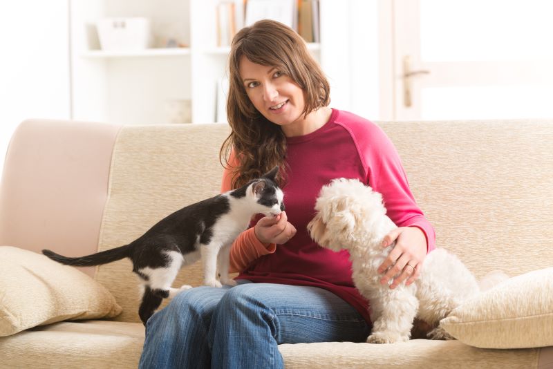 Little dog maltese and black and white cat sitting with owner on the sofa in home