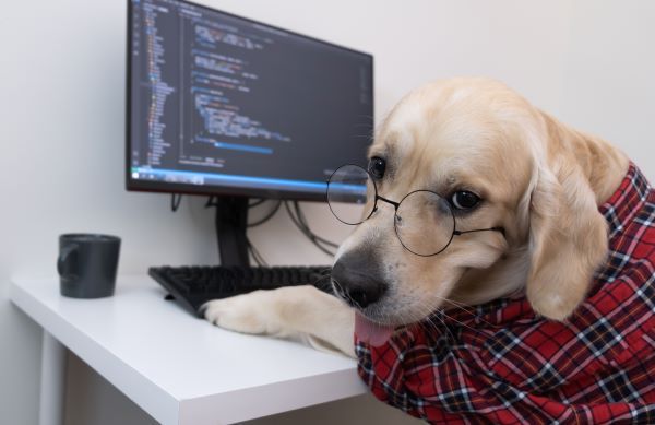 A dog in glasses and a red shirt sits at a computer and writes a program.
