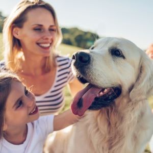 Top 5 dog health conditions Bow Wow Meow