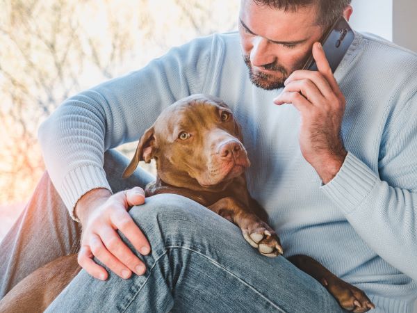 How to tell if your dog is sick?