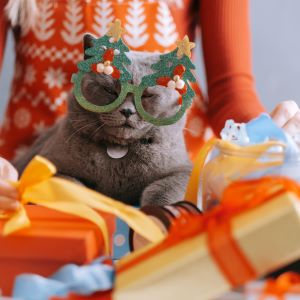 Christmas gift guide Bow Wow Meow