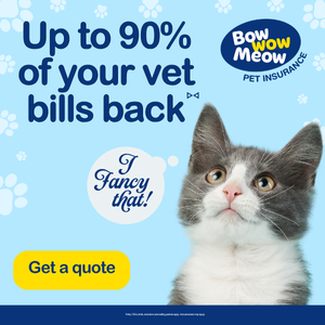 Up to 90% of your vet bills back with Bow Wow Meow Pet Insurance