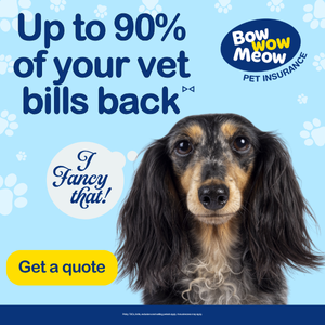 Up to 90% of your vet bills back with Bow Wow Meow Pet Insurance