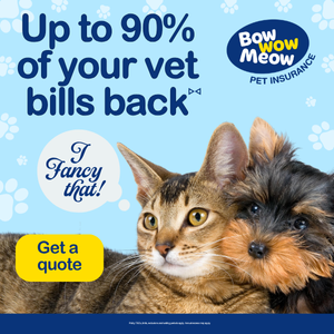 Up to 90% of your vet bills back with Bow Wow Meow Pet Insurance