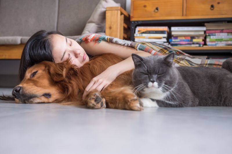 Pet parent cuddling their dog and cat at home