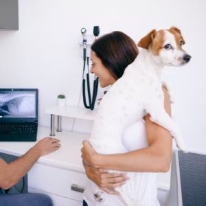 Worried dog owner holds her dog while listening to the radiography results as explained by the vet