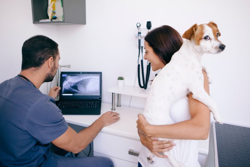 Worried dog owner holds her dog while listening to the radiography results as explained by the vet