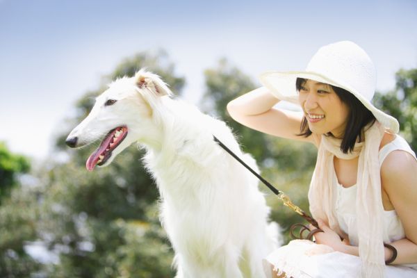 Woman with a Borzoi Dog in a Sunny Park